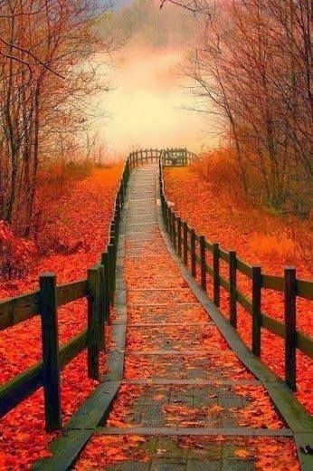 3.Jesienna - 131195-Autumn-Path.jpg