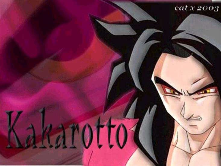 Son Goku Kakarotto - 800-48.jpg