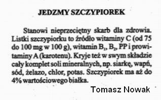 Zioła pojedyńczo - szczypiorek1.jpg