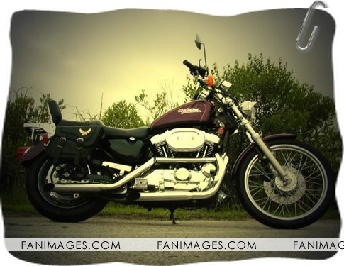 Harley Davidson - Harley-Davidson Wallpaper 7.jpg
