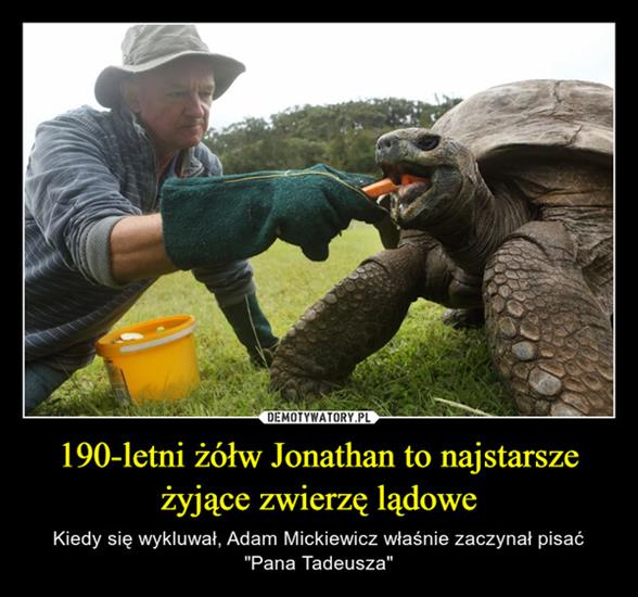 Demotywatory, Wiocha i Inne - Żółw Jonathan.jpg