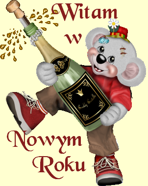 NOWY ROK I SYLWESTER - witam.png